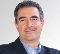 Quando os políticos olham a árvore e ignoram a floresta