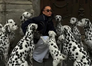 O que tem levado influenciadores a usarem pets de Inteligência Artificial