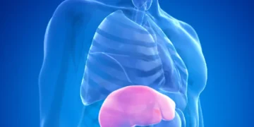 Gordura no fígado: cinco alimentos para priorizar na dieta e quatro para evitar