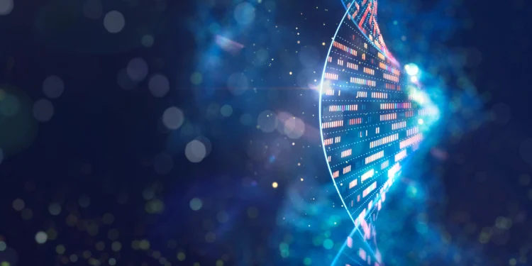 A ‘fonte da juventude’ da imunidade e outras 9 descobertas que marcaram o ano em respeitado centro americano