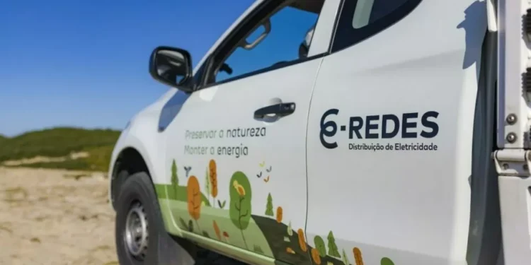 E-Redes vai ser julgada por abate ilegal de sobreiros em Oliveira de Azeméis