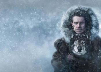 ‘Togo’ e a verdade incômoda sobre nossa relação com os animais