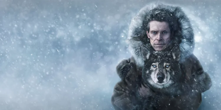 ‘Togo’ e a verdade incômoda sobre nossa relação com os animais