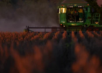 Exportação de soja do Brasil em janeiro pode igualar recorde de 2024, indica Anec