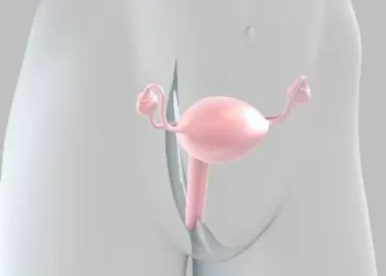 Depois de uma década, a ciência reacende a esperança no câncer de ovário