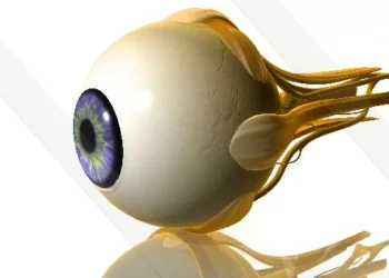 Implante que recupera a visão de pessoas praticamente cegas pode chegar ao mercado neste ano