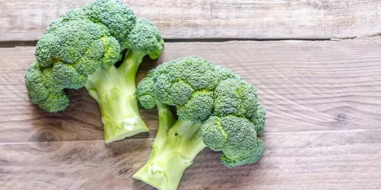 Brócolis demonstra ser aliado para evitar o câncer de mama, diz estudo