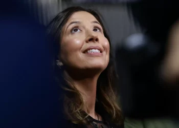 IL não apoia ninguém, mas Mariana Leitão vota “sem entusiasmo” em Seguro