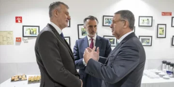 Gouveia e Melo anuncia que vai votar “útil” em Seguro na segunda volta