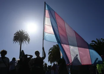 Manual TRANScender: o guia de diretrizes para cirurgias na população trans