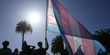 Manual TRANScender: o guia de diretrizes para cirurgias na população trans