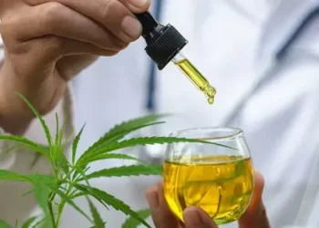 Autorização para plantio de Cannabis abre portas para pesquisa científica