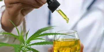 Autorização para plantio de Cannabis abre portas para pesquisa científica