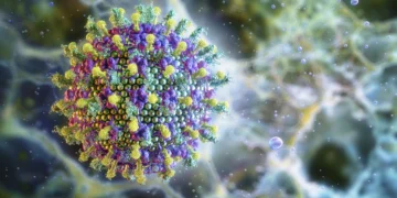 Vírus Nipah: novo caso, que resultou em morte, é registrado em Bangladesh