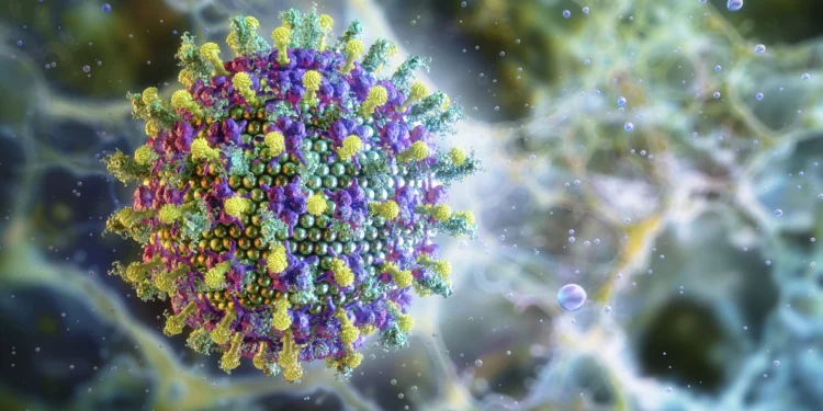 Vírus Nipah: novo caso, que resultou em morte, é registrado em Bangladesh