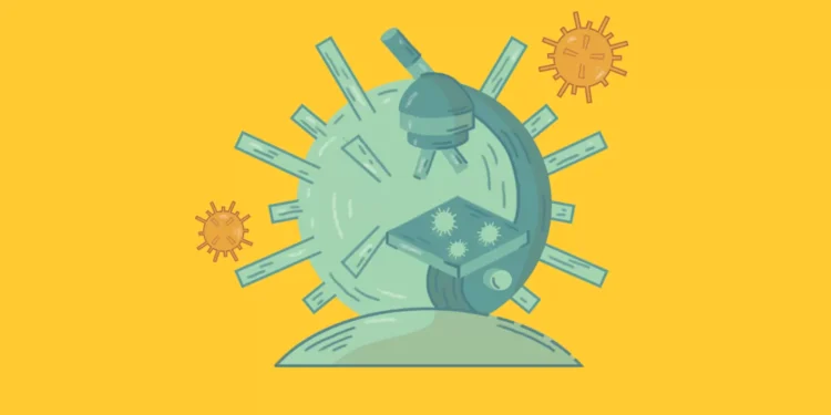 Nipah: as maiores mentiras e verdades que circulam sobre o perigoso vírus