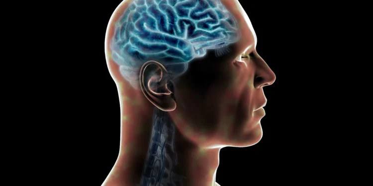 Traumatismo após violência física: a morte do jovem espancado no DF