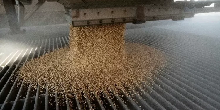 China planeja aumentar produção de soja e ampliar oferta de oleaginosas