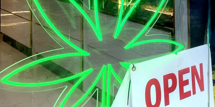 Importação de cannabis medicinal bate recorde no Brasil em 2025