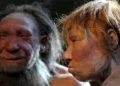 A descoberta reveladora sobre o sexo entre neandertais e humanos